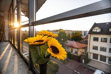 Фото номера Трехместный номер Делюкс Апарт-отели Apartamenty ELITMAT г. Миньск-Мазовецки 5